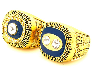 NFL / 1972 & 1973 Miami Dolphins Championship rings set