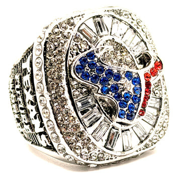Houston Texans 2014 championship ring