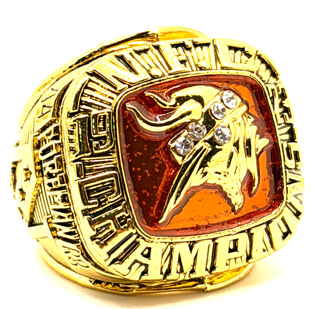 Minnesota Vikings 1973 NFC Championship ring